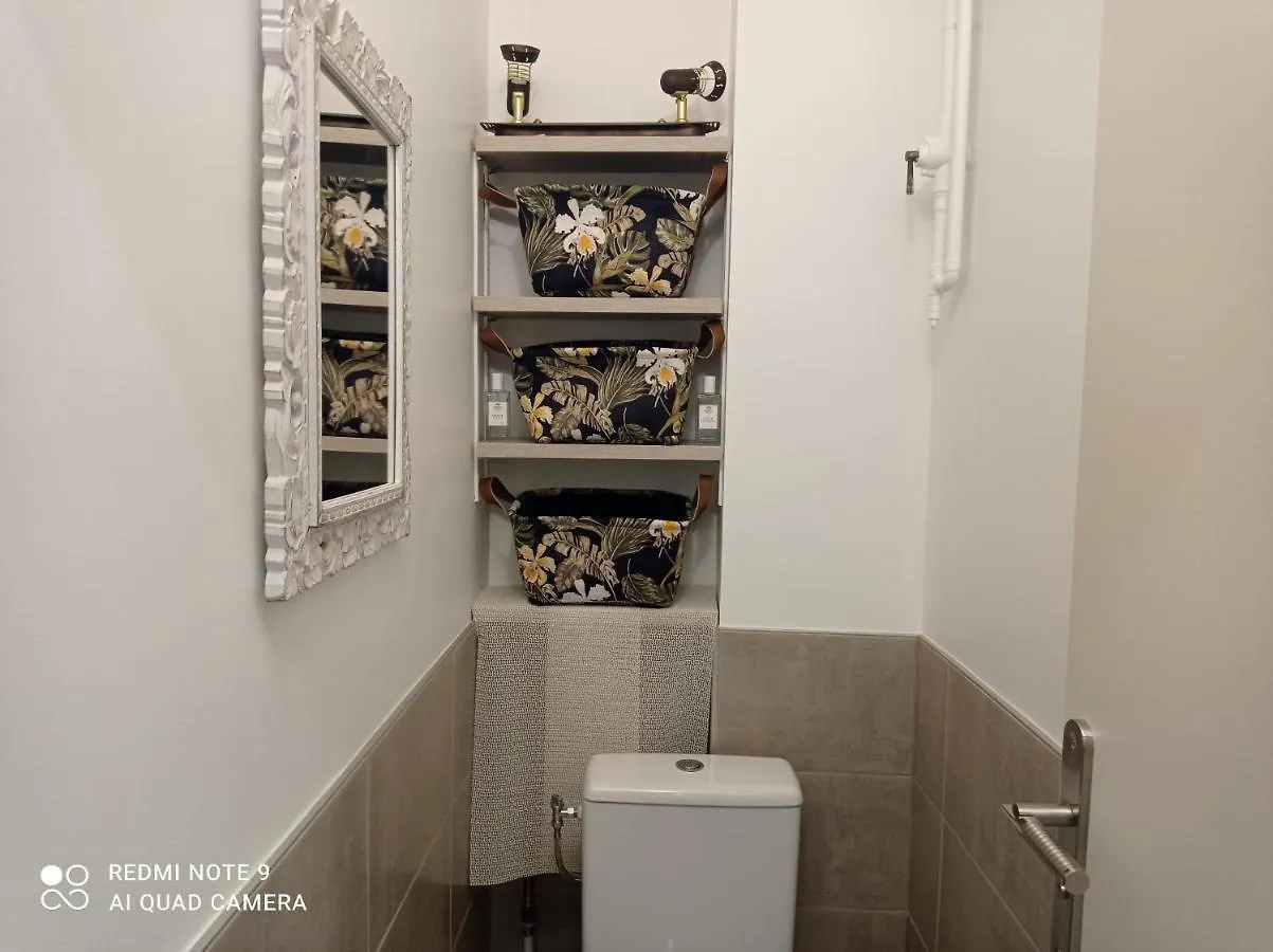 Le Stradivarius Grenoble Apartment